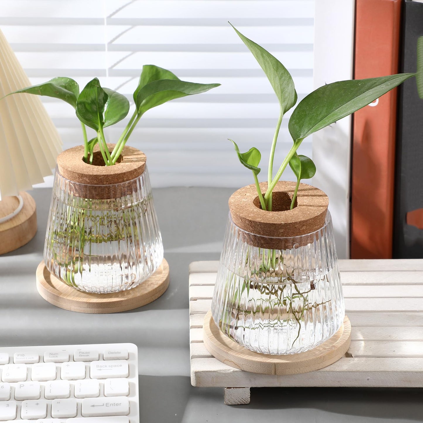 Baderke 12 Packs Propagation Vases for Plants Plastic Plant Propagation with Hole Lid and Bamboo Stand Growing in Water Hydroponic Home Office Desktop Vase Decoration