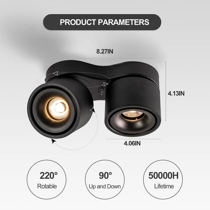 HITOO Ceiling spot Lights Indoor, Ceiling Accent Lights 3000-6000K Selectable, 20W Dual Head LED Spot Lights, CRI 98, 220° Directional, Black Ceiling Spotlight for Kitchen, Plant, Living Room
