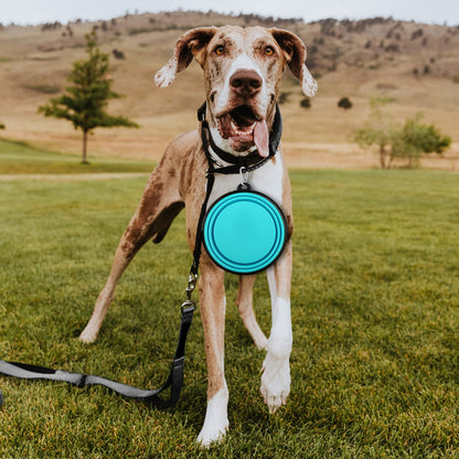 Collapsible Dog Bowls-2 Pack Large Size for Large/Medium Dogs, Pet Travel Water Bowl, Dogs Cat Portable Water Bowl, Dog Pet Feeding Watering Dish Outdoor Hiking Parking Traveling with 2 Carabiners