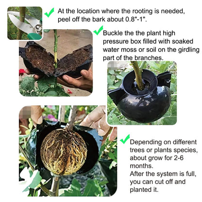 MIIIM 20 PCS Air Layering Propagation Kit with Zip Ties, Reusable Grafting Ball, Clear Air Layering Pods, Rooting Ball for Fast Propagation (Small)