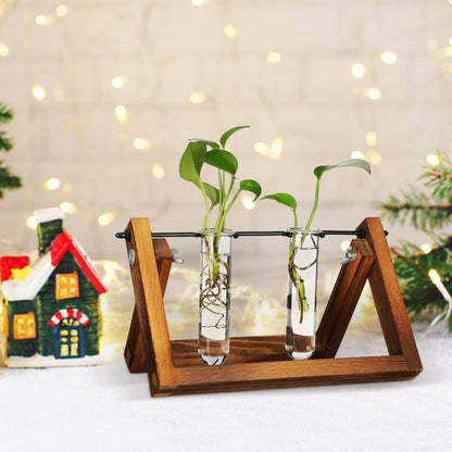 Artibetter 5pcs Glass Plant Propagation Tubes 2.5x3x11cm Test Tube Hydroponic Flower Vase for Indoor Plant Propagation and Terrarium Display