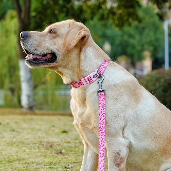 Dog Collar Leash Set, Leopard Pattern, Polyester Material, Adjustable Collar and 5ft Matching Leash, for Medium Dogs.(M, Pink Leopard)