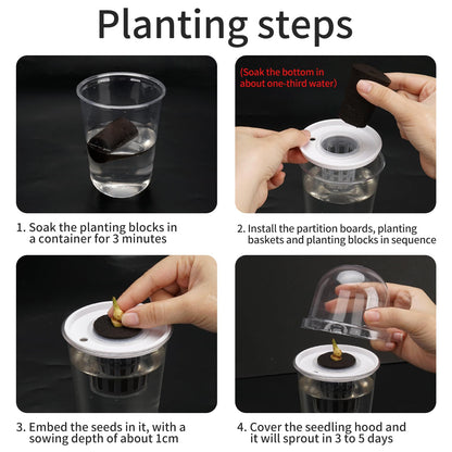 6 Pack Clear Hydroponic Nursery Kit, Transparent Plant Starter Hydroponic Pots for Seed Starting, Hydroponic System for Nursery