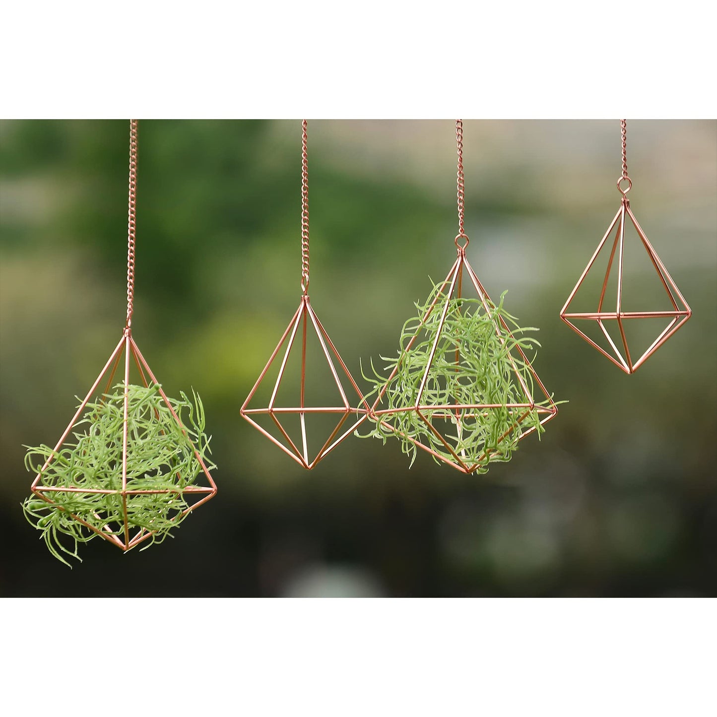 libproqia Hanging Air Plants Holders Geometric Airplant Hangers Rose Gold Tillandsia Holder Metal Pink Himmeli Metal Airfens Planter for Home Décor 4Pcs …