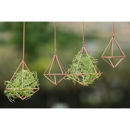libproqia Hanging Air Plants Holders Geometric Airplant Hangers Rose Gold Tillandsia Holder Metal Pink Himmeli Metal Airfens Planter for Home Décor 4Pcs …