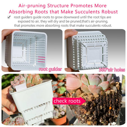 Meshpot Succulent Pots, 12Pcs 2.8 Inch Planters with 14 x 9.4 Inch Tray, Plastic Cactus Pot with Drainage, Square Seedlings Pot Match Long Rectangular Tray