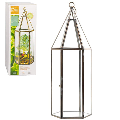 D'Eco Glass Geometric Plant Terrarium (5x5x14) - Indoor Tabletop Bronze Tall Hexagon Planter - Succulents, Air Plants, Moss - Home Garden Office Decor - Great Holiday (Terrarium Only)