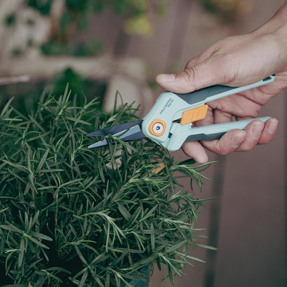 PrunePro Garden Scissors Pruning Shears Sharp Stainless Steel Non-Stick Teflon Coating Blade for Precise Cuts Garden Snip Bonsai Clippers for Plants Rose Flower 2 Pack
