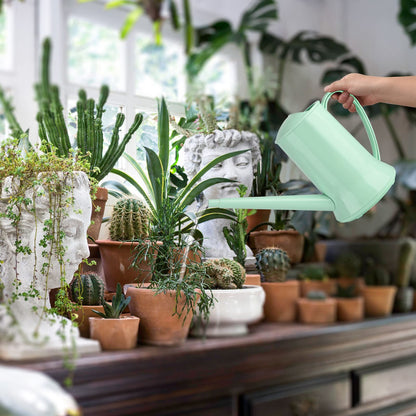 XXXFLOWER 1/2 Gallon Small Indoor Plant Watering Can, 2L Long Spout Removable Nozzle Flower Watering Pot for Office House Indoor Garden（Green, 67 oz）