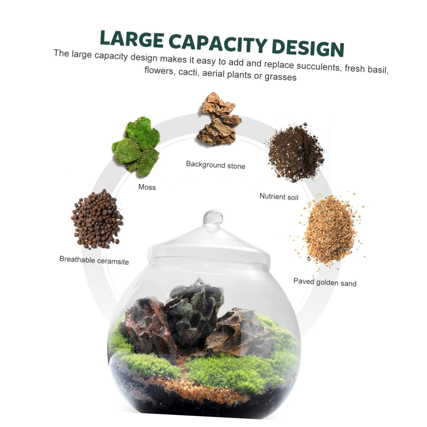 Glass Plant Terrarium Lid Eco Bottle Terrarium Jars Moss Ball Decorative Vase Style