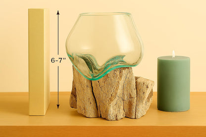 OMA Molten Glass on Driftwood – Hand-Blown Melted Glass Vase, Terrarium, or Planter for Coastal & Boho Home Décor (6"–7" High)