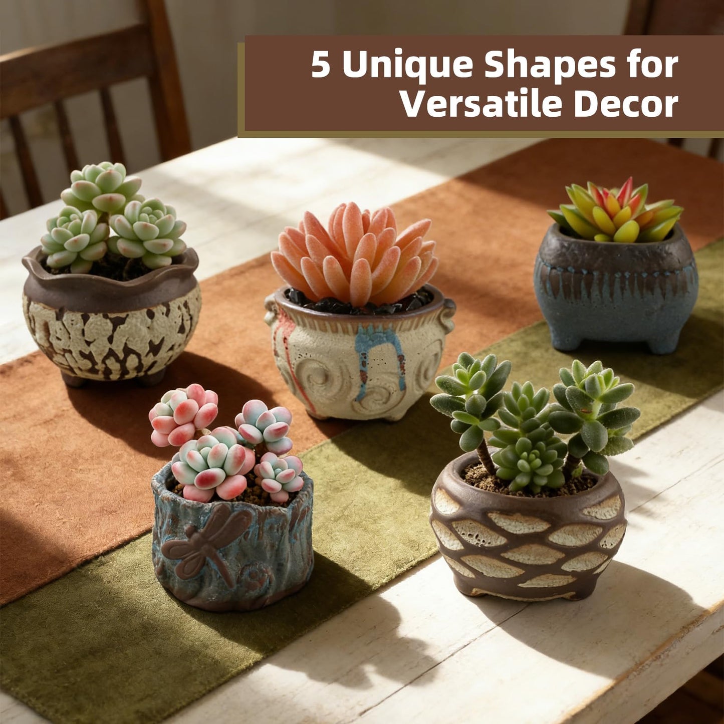 ginojex Ceramic Garden Pots Succulent Plant Planter Container with Drainage Set of 5 Small for Home Office Decor