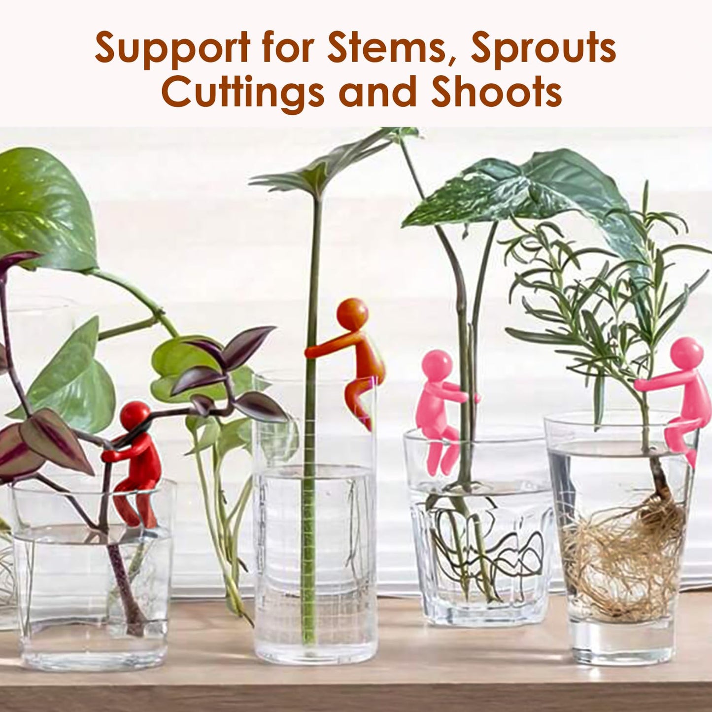 SINSETU 6 Pcs Plant Propagation Friends, Plant Propagation Buddy, Plant Cutting Holder for Shoots, Sprouts and Stems, Cute Plant Propagation Support Growth Tool for Indoor Garden