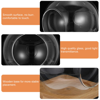 BESTOYARD Glass Vase Glass Flower Vase Plant Terrarium Display Glass Tabletop Air Plant Planter Globe Hydroponics Plant Holder Fish Bowl for Home Decor Centerpiece Black Flower Vase Air Plants