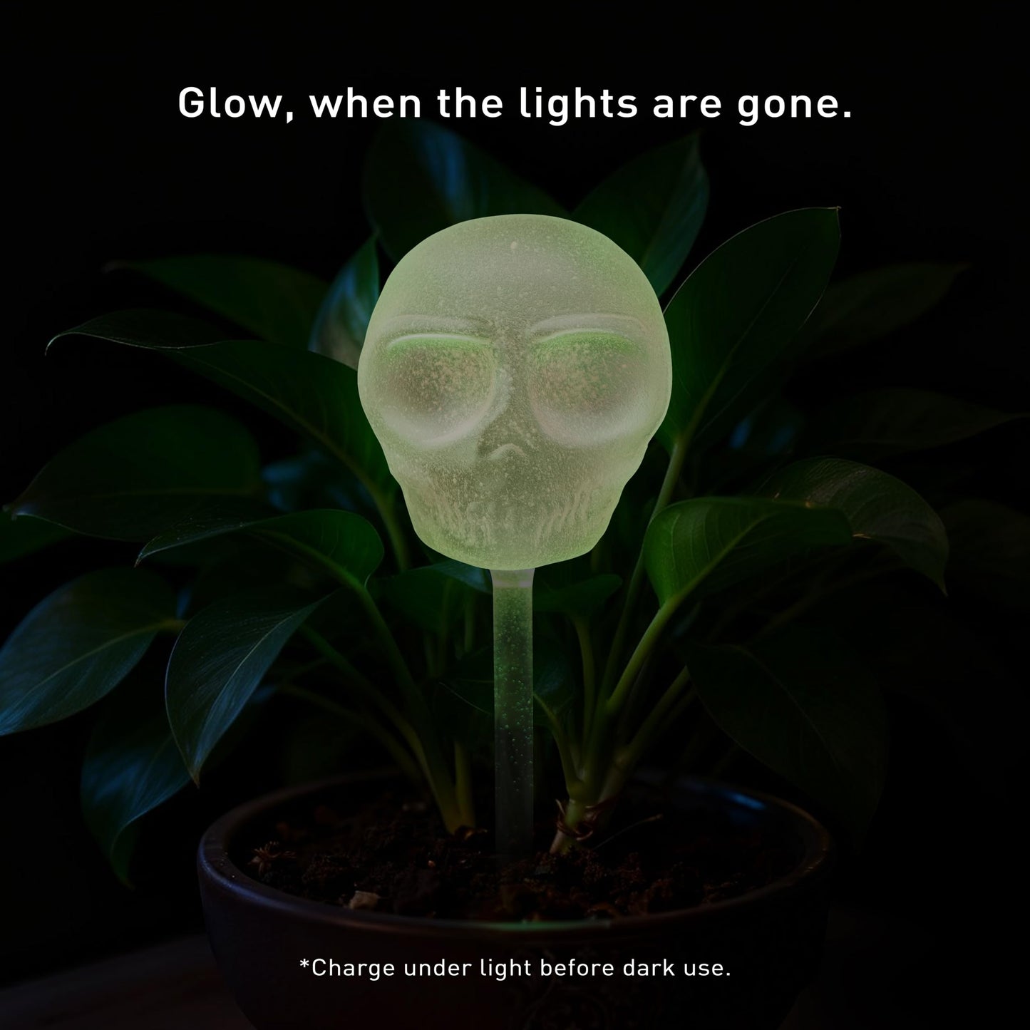 Soilagua 10 oz Glow-in-The-Dark Smiling Cute Skull Glass Plant Watering Globes, Halloween Goth Water Bulbs, Gothic Plant Self Watering Devices, Self Watering Planter Insert Plant Waterer, 2 Pack