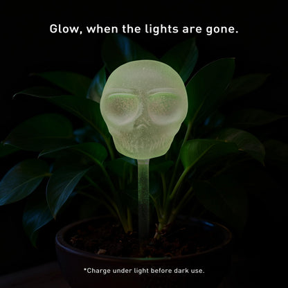 Soilagua 10 oz Glow-in-The-Dark Smiling Cute Skull Glass Plant Watering Globes, Halloween Goth Water Bulbs, Gothic Plant Self Watering Devices, Self Watering Planter Insert Plant Waterer, 2 Pack