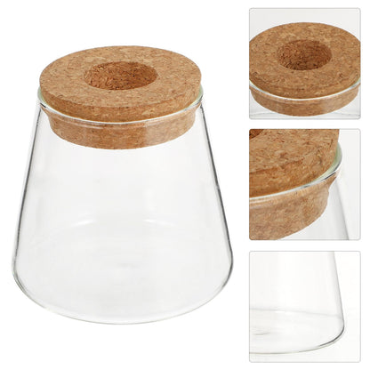 FUOYLOO Desktop Glass Vases for Hydroponics Plants, Stylish Terrarium Planter Wood Lid for Indoor and Hospitality Decor