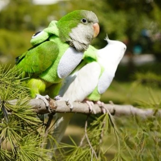 Bird Costume Diaper Flight Suit Frog Shape Hoodie Clothes Cosplay Photo Prop for Parrots Parakeet Cockatiel Sun Conure, Small Animals Apparel (Pink Without Diaper, Small), Green