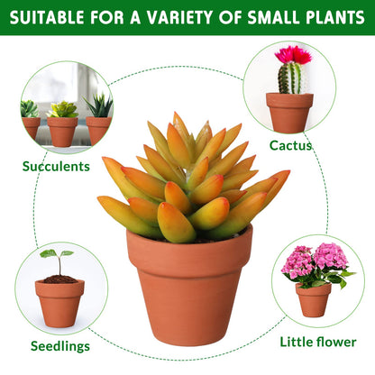 Nuogo 200 Pcs Mini 2" Terracotta Pot Bulk Small Plant Pots, Tiny Clay Pots Nursery Flower with Drainage Holes for Indoor Outdoor Succulent Cactus Plants Crafts Wedding Decorations