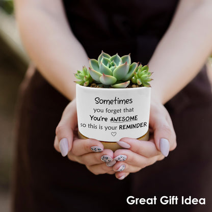 ROXMART Sometimes You Forget Your Awesome Gifts Plant Pots, Thank You Gifts for Men Women Coworkers Friends Succulent Planters, Ceramic Plant Flower Pots for Home Office Desk Table Shelf(No Plants)