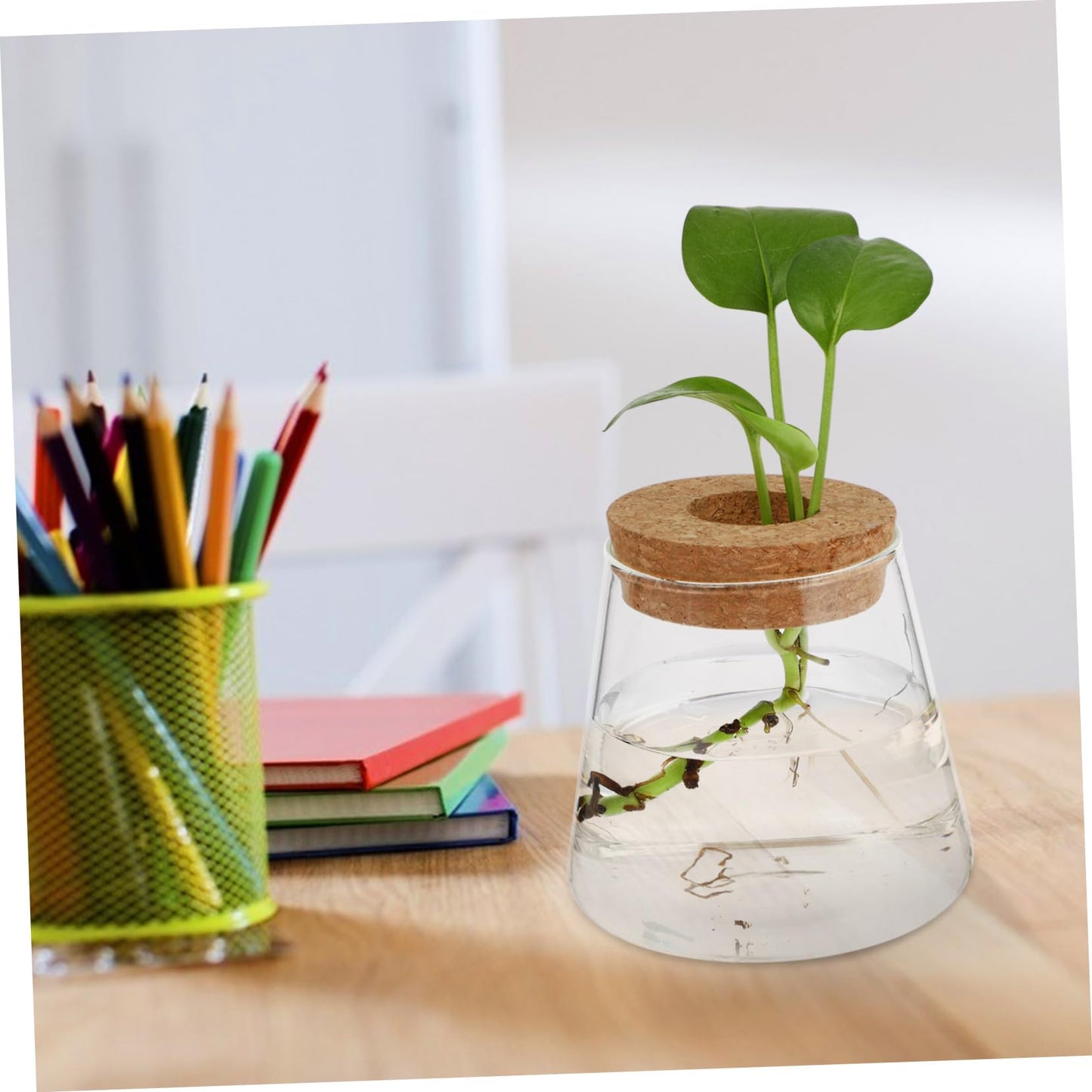 Garneck 2Pcs Hydroponic Plant Vases Clear Glass Terrarium Garden Decoration for Home Office Floral Arrangement and Nature Lovers Gift