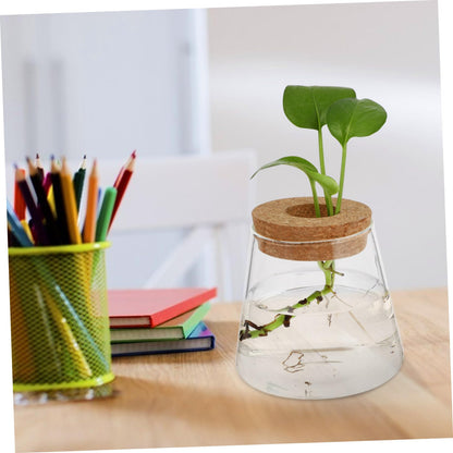 Garneck 2Pcs Hydroponic Plant Vases Clear Glass Terrarium Garden Decoration for Home Office Floral Arrangement and Nature Lovers Gift