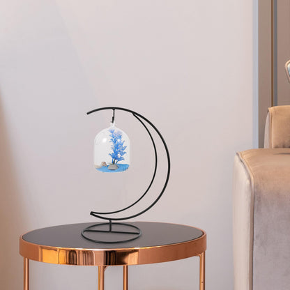 TOPPERFUN 2pcs Moon-shaped Hanging Hook Black Metal Plant Stand Terrarium Holder for Indoor Air Plant Display and Handmade Glass Globe Vase Hanger