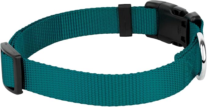 Country Brook Petz - Everyday Nylon Dog Collar and Leash - 10+ Cool Colors (1 Inch, Large, Teal)