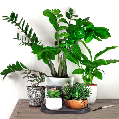 Pinkunn 2 Pack Bonsai Humidity Tray Drip Tray Plastic Plant Water Catcher Plant Saucers for Indoors and Outdoors Cactus, Succulents, Bonsai Tree, Stone Not Included (12.7 x 8.3 Inch)