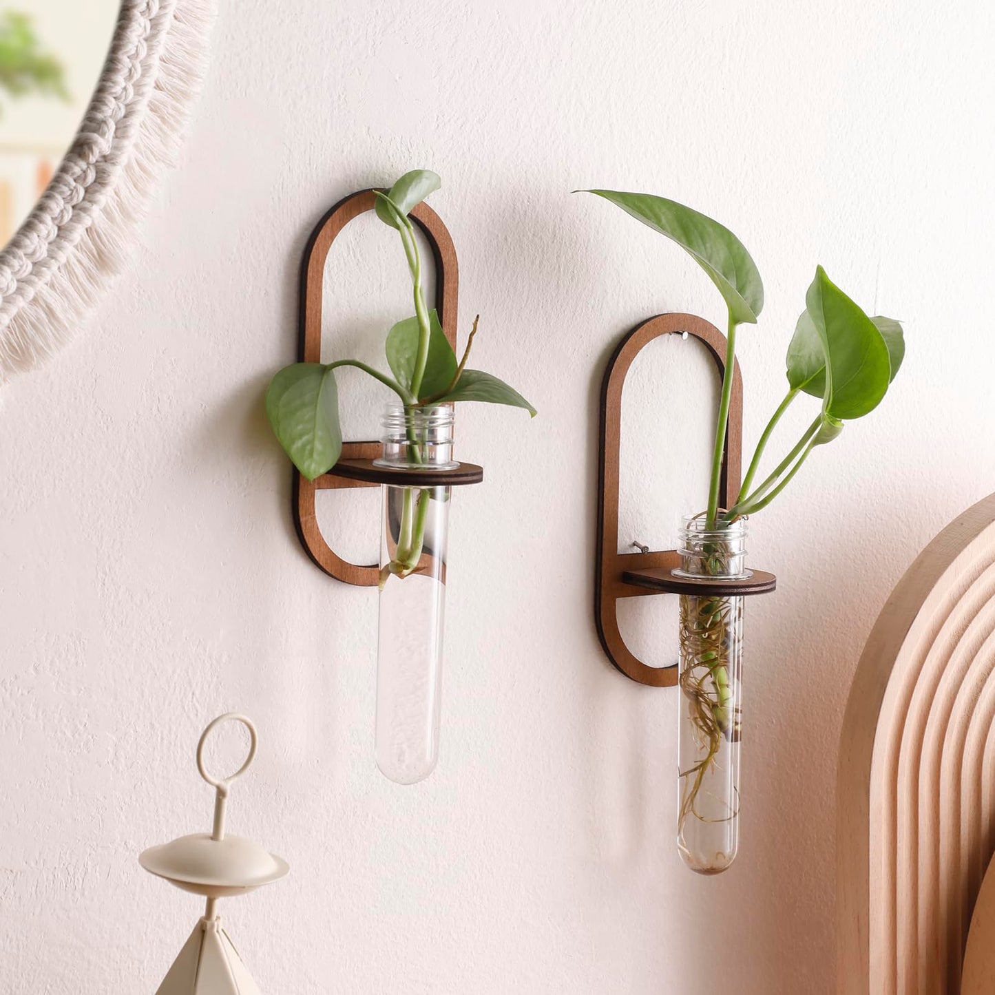 2 Pack Plant Propagation Station Wall Hanging Wooden Shelf Plant Terrarium for Hydroponics Home Office Decor Test Tube Propagate Air Plant Cutting Holder
