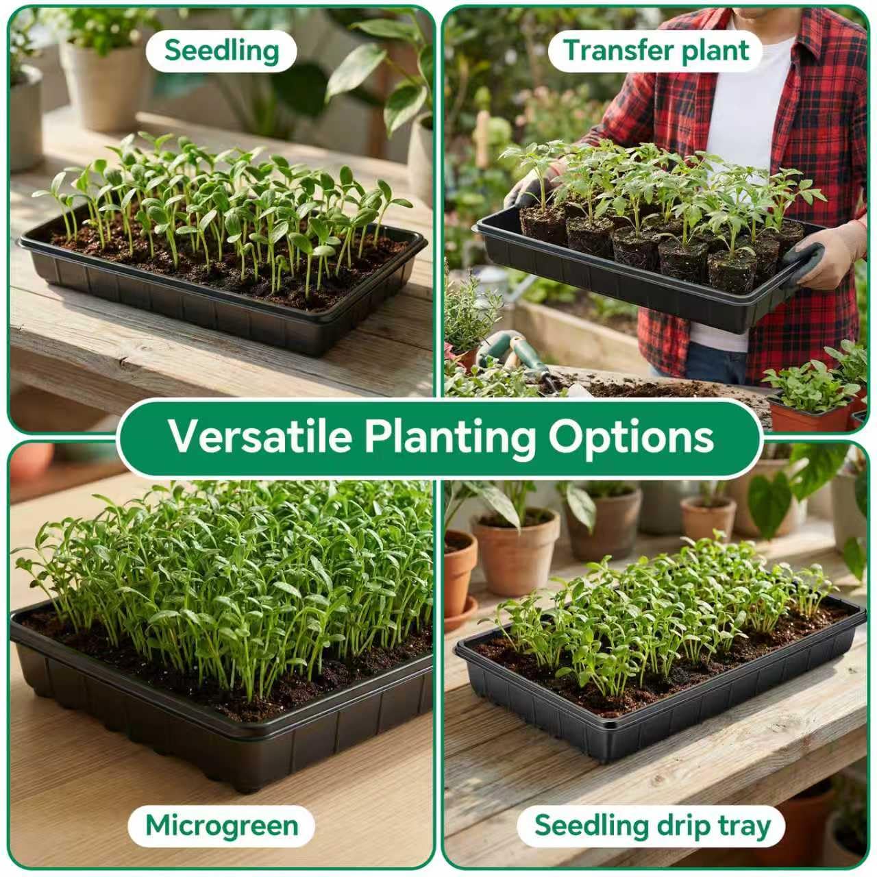 EXTYQWC 10 Plant Growing Trays,Plant Tray, Seed Tray, Seedling Tray, Propagation Tray, Plant Trays for Seedlings, Planting Trays, Seedling Starter Tray(No Drain Holes)