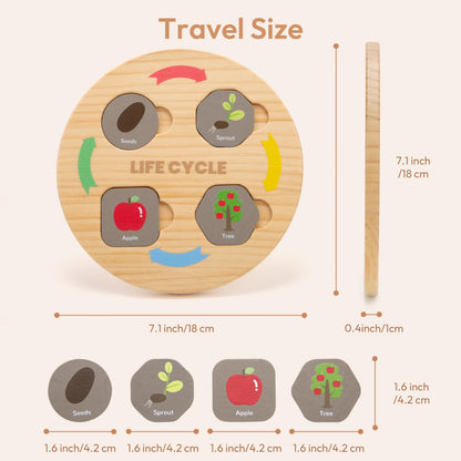 Woodtoe Life Cycle Toys for Kids, 12 Themes Montessori Preschool Science Center Materials, Wooden Learning & Educational Toys for Toddlers, Learning Game STEM Birthday Toys for Boy Girl Age 3-6