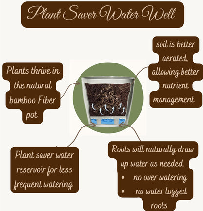 7 Inch Self-Watering Bamboo Planter (Cream) - Round - Bamboo Fiber - No Overwatering or Root Rot