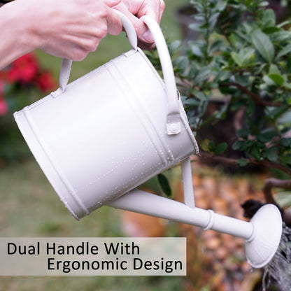 Annie Garden 1 Gallon Metal Watering Can for Indoor Plants Outdoor Plants, Large Water Can, Garden Water Can for Kids, Detachable, Water Can with Handle, White