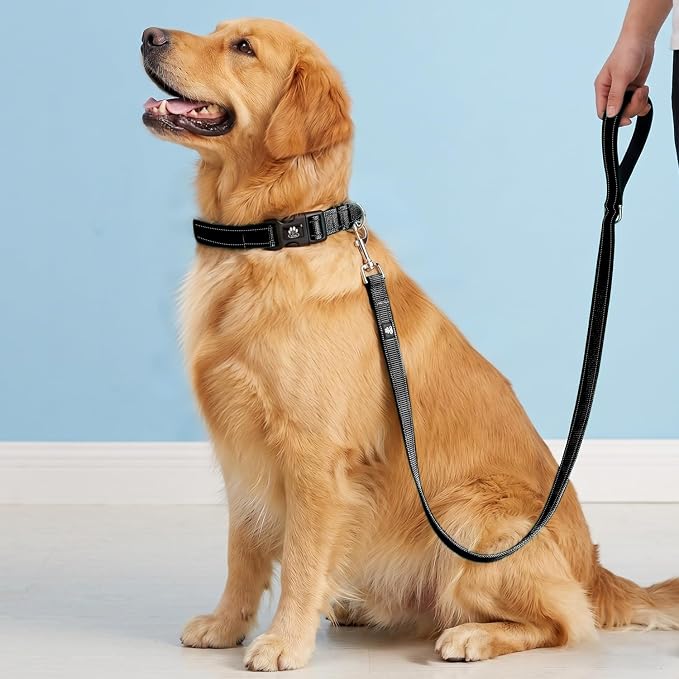 FURRYFECTION Reflective Dog Collar and Leash Set with Quick Release Buckle, Padded with Neoprene Adjustable Nylon Dog Collar for Small Medium and Large Dogs (Large Collar+5FT Leash, Black)