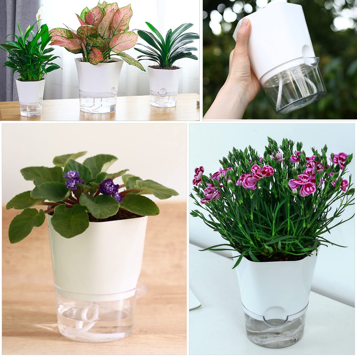 Planterhoma 6-Pack 4.3" Self-Watering Planters, Clear and White, Indoor Use, Hexagonal Plant Pots for Orchids, Herbs, African Violet, Home Decor