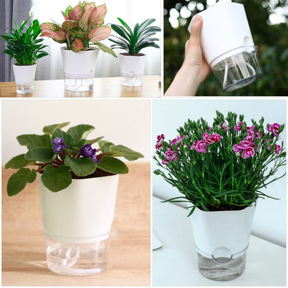 Planterhoma 6-Pack 4.3" Self-Watering Planters, Clear and White, Indoor Use, Hexagonal Plant Pots for Orchids, Herbs, African Violet, Home Decor