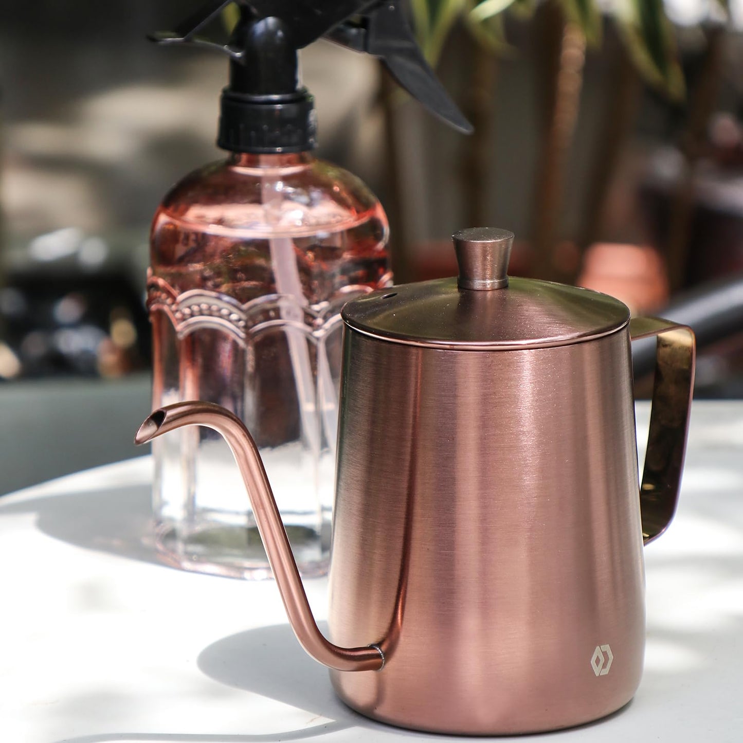 OFFIDIX Watering Can for Indoor Plants Long Spout Metal Stainless Steel 21 oz Small Watering Can with 14 oz Glass Plant Mister Spray Bottle for Plants Bonsai