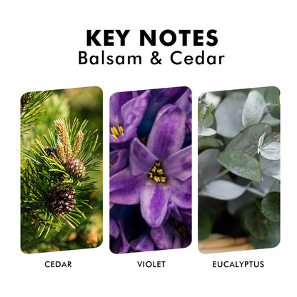 Reed Diffusers Set, 3.7 Oz Scent Diffuser, 6 Reed Diffuser Sticks, Home Fragrance Hyacinth, Peony & Citrus, Aromatherapy Oil Diffuser Reeds, More Masculine Scent, Bathroom & Office Decor 110ml