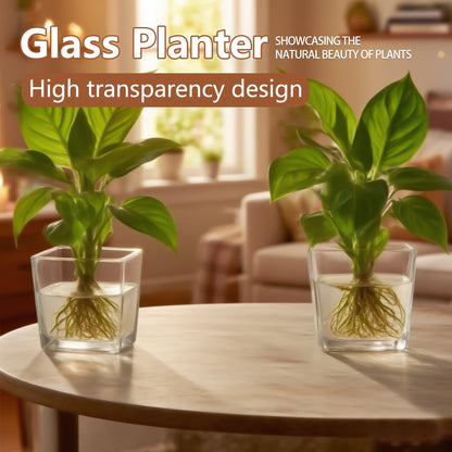 Set of 6 Square Glass Vases for Centerpieces – 4" x 4" x 4" Clear Short Vases, Flower Vase, Plant Terrariums, or Candle Holders for Wedding Centerpieces, Office Decor, Home Décor, Parties