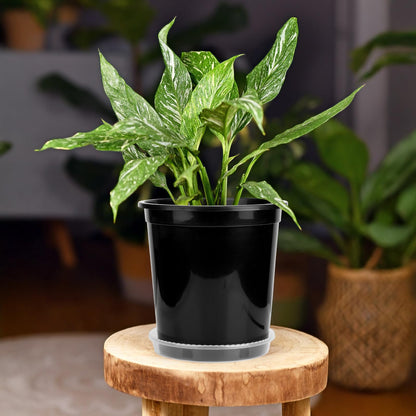 GREANER 5 Gallon Pots for Plants, Flexible Durable Plant Nursery Pots for Flower Herb Vegetable Seedling Tree Fruit(Black)