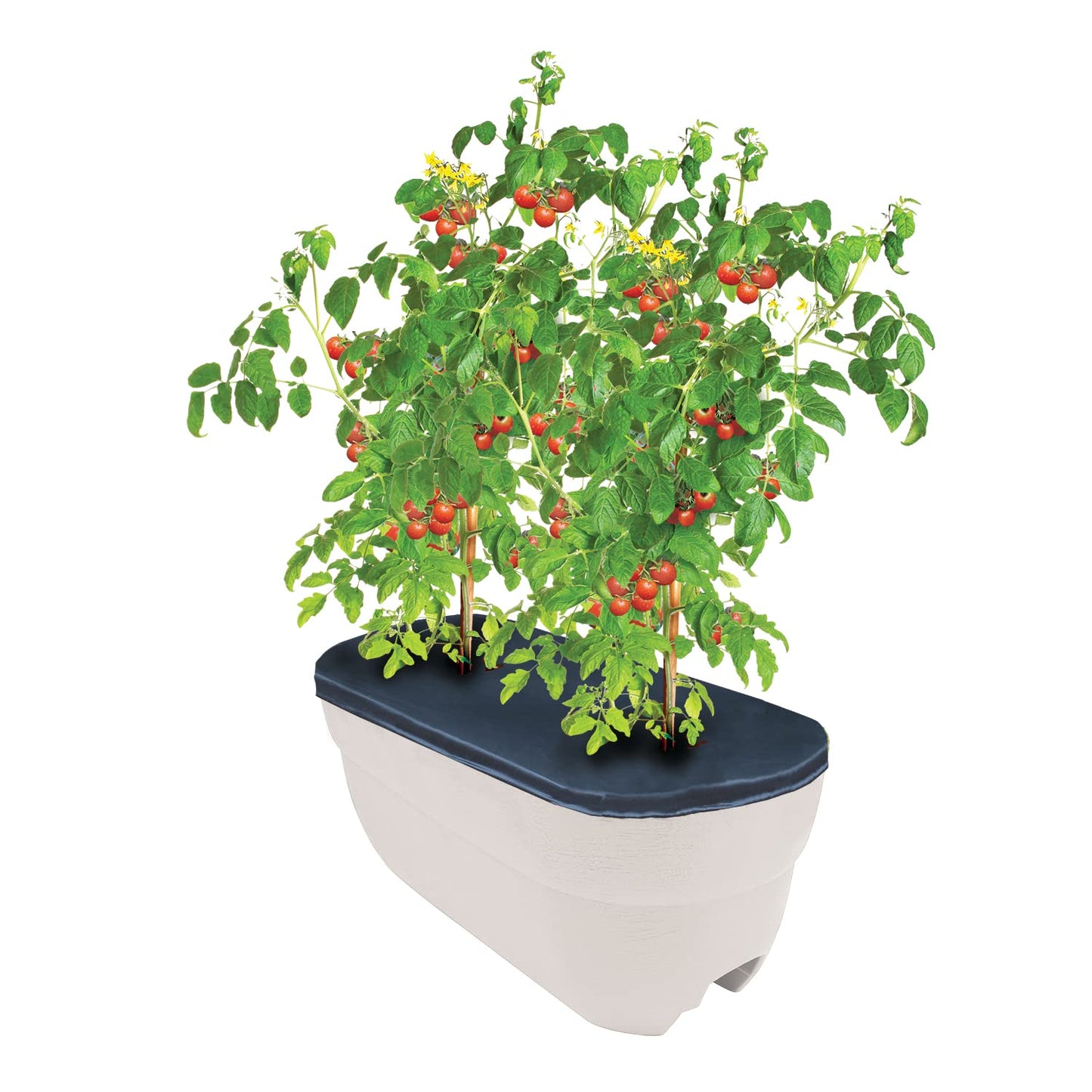 Emsco Group 2434-1 Bloomers Self-Watering 24" Weatherproof Resin 6" Railings – White Rain Planter Grow Box