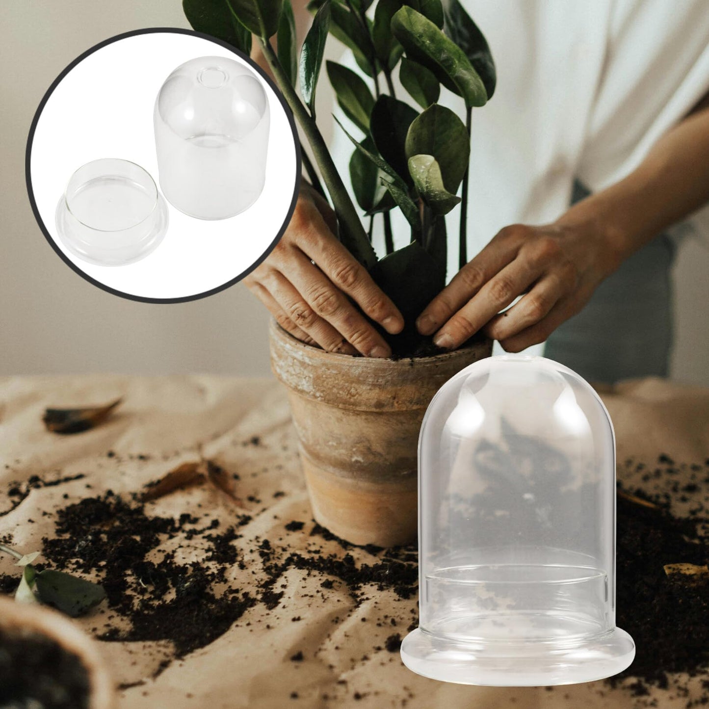 HOLIDYOYO Landscape Terrarium Bottle Glass Display Jar for Plant Arrangements for Home Office Garden Decor