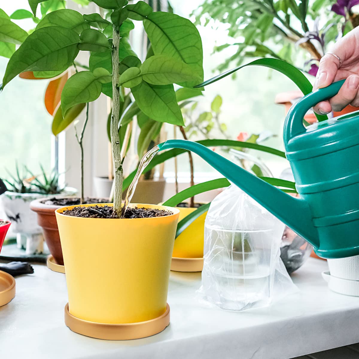 LCJAOF 2PCS Round Ceramic Plant Saucer-7 Inch Flower Pot Drip Tray, Perfect for Various Flowers, Enhancing Home Aesthetics（Gold）