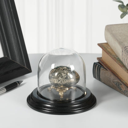 Plymor 3" x 3" Glass Display Dome Cloche (Black Wood Veneer Base)