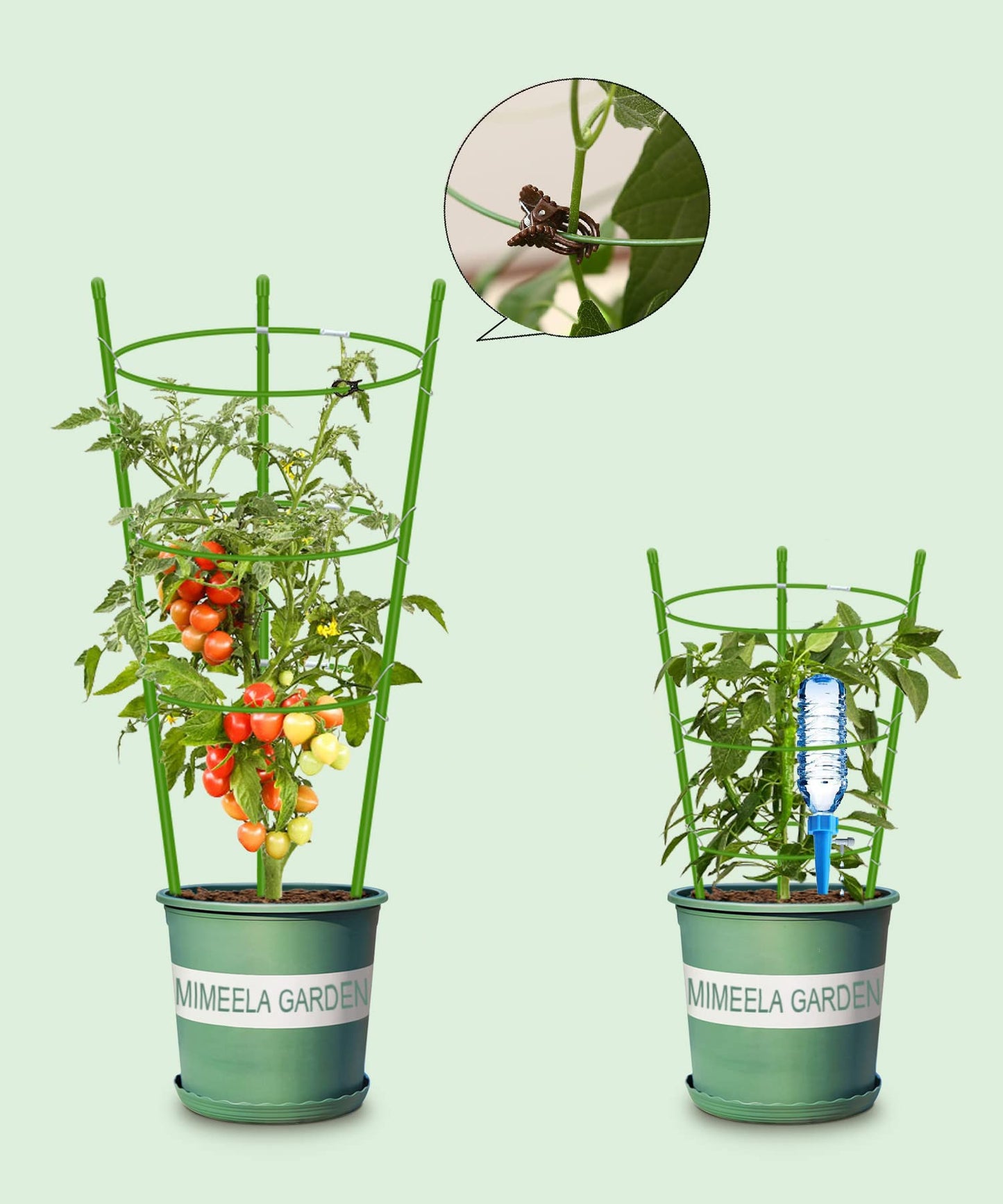 Mimeela 4 Pack Garden Plant Support Tomato Cage, Upgrade 36'' Trellis for Climbing Plants, Plant Trellis Kits with 4 Self Watering Spikes and 20 Plant Clips (36'') (Upcage-4T-23)