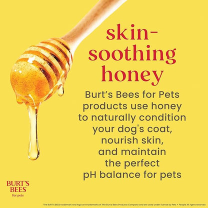 Burt's Bees for Pets Oatmeal Dog Shampoo with Honey, Soothing Formula for Itchy and Sensitive Dog Skin, Colloidal Oat Flour and Honey, pH Balanced, Sulfate-Free, 16 Fl Oz - 2 Pack