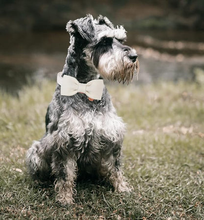 DOGWONG Cotton Dog Collar with Bow, White Wedding Collar, Adjustable for Small to Large Dogs