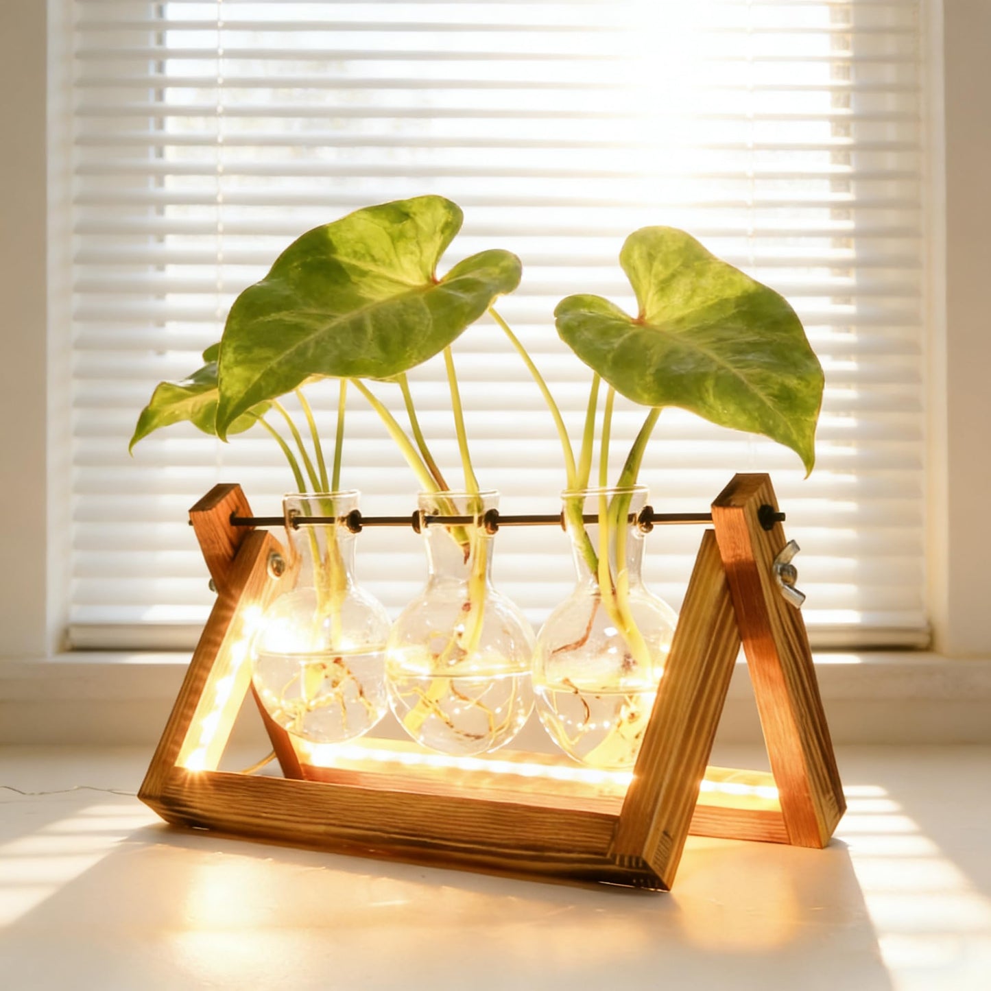 Plant Propagation Stations with LED Lights, Plants Terrarium with Retro Wooden Stand Glass Vase Hydroponics Planter Birthday Gift for Plant Lovers Home Garden Office Indoor Decoration-3 Bulb Vase