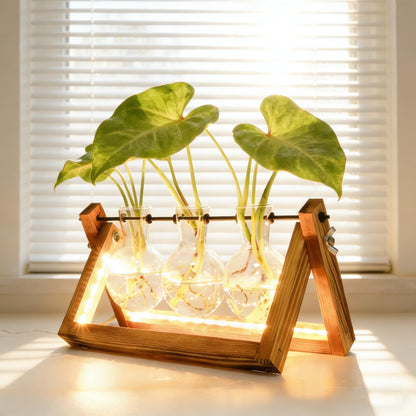 Plant Propagation Stations with LED Lights, Plants Terrarium with Retro Wooden Stand Glass Vase Hydroponics Planter Birthday Gift for Plant Lovers Home Garden Office Indoor Decoration-3 Bulb Vase